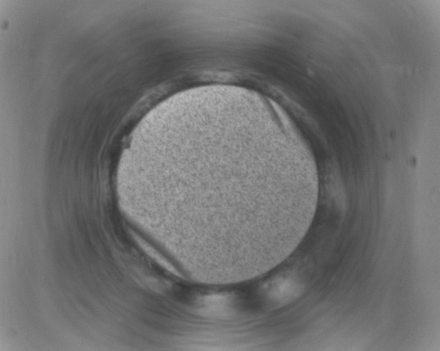 X0000082730312200702232354