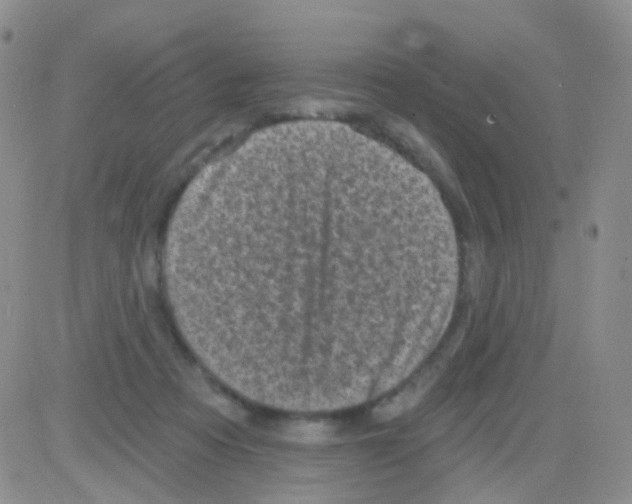 X0000082730313200702232354