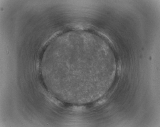 X0000082730314200702232354