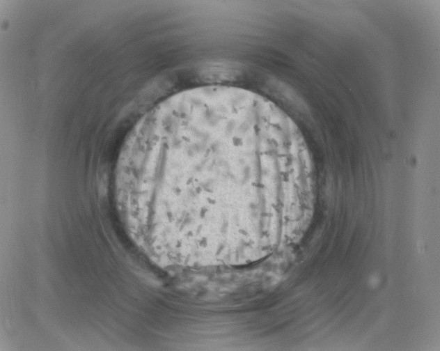 X0000082730315200702232354