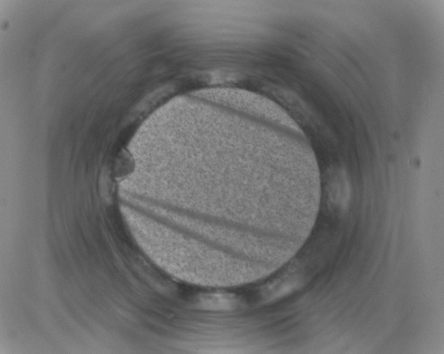 X0000082730316200702232354