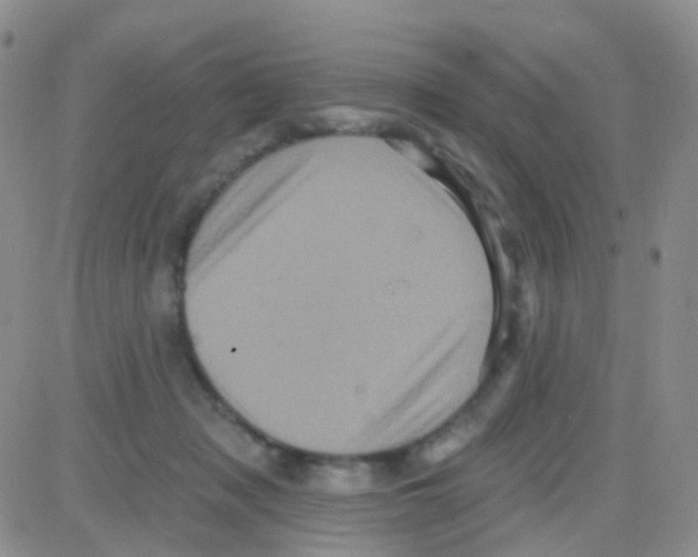 X0000082730317200702232354