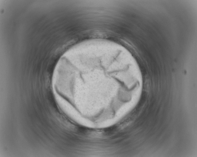 X0000082730318200702232354