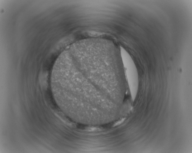 X0000082730319200702232354