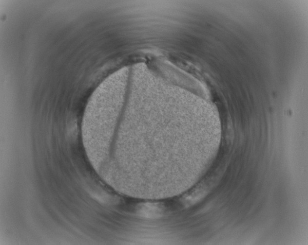 X0000082730320200702232354