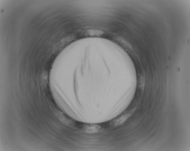 X0000082730321200702232354