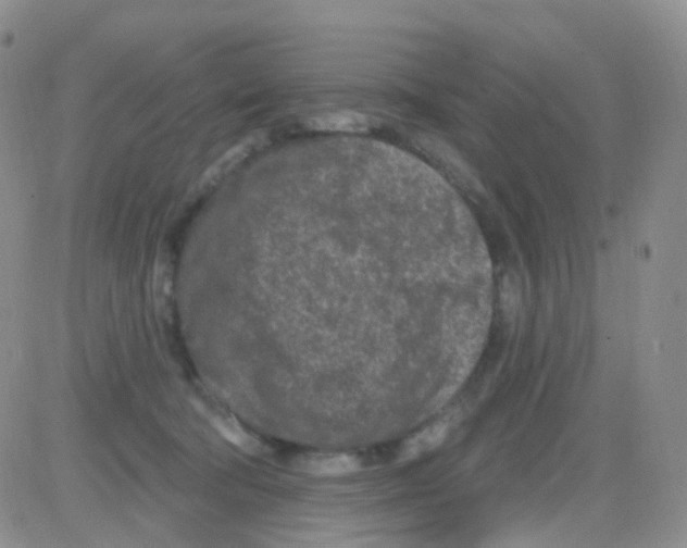 X0000082730322200702232354