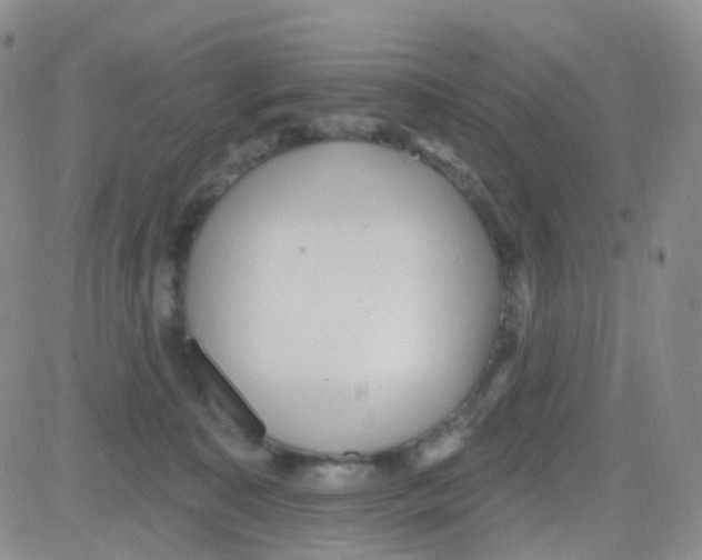 X0000082730323200702232353