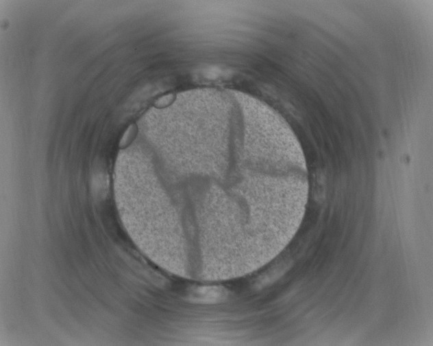 X0000082730324200702232353