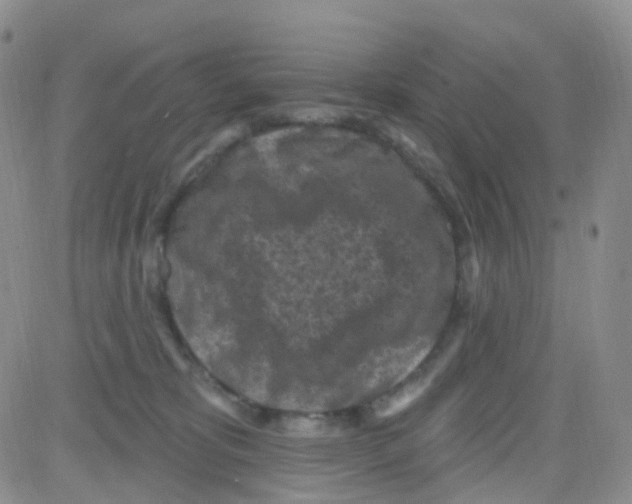 X0000082730325200702232353