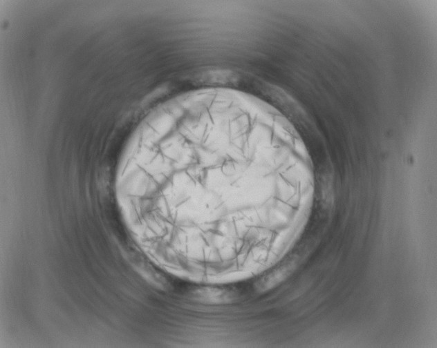 X0000082730326200702232353