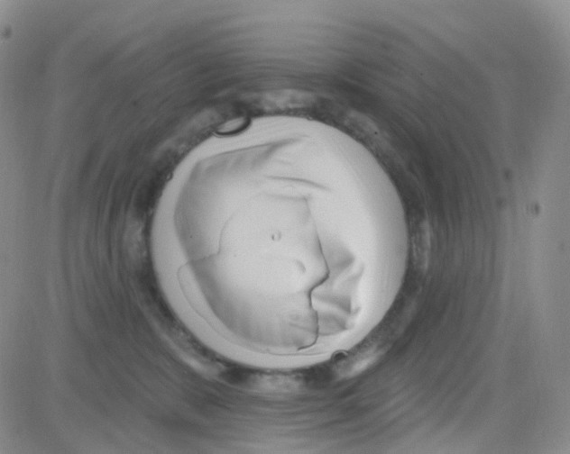 X0000082730327200702232353