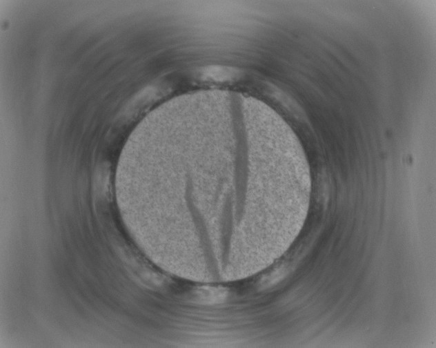 X0000082730328200702232353