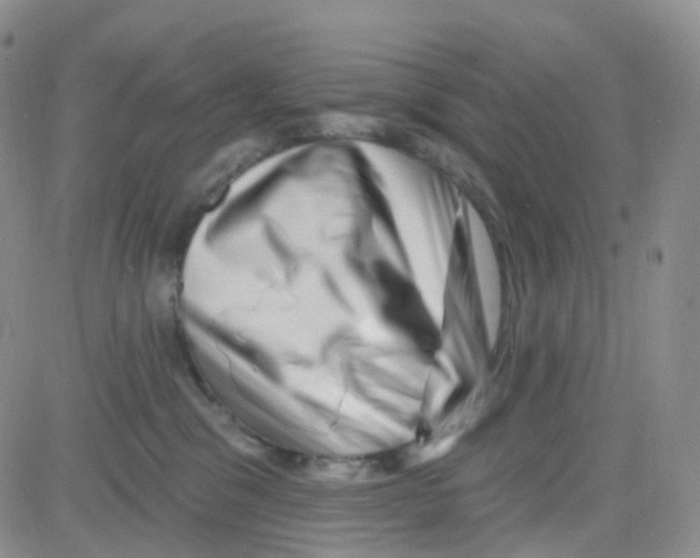 X0000082730329200702232353