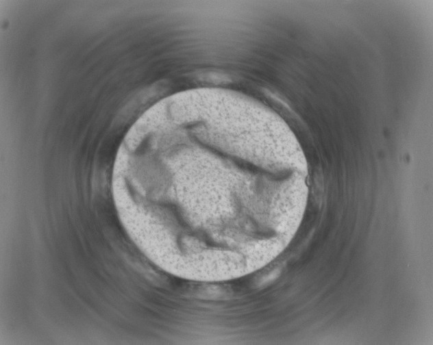 X0000082730330200702232353