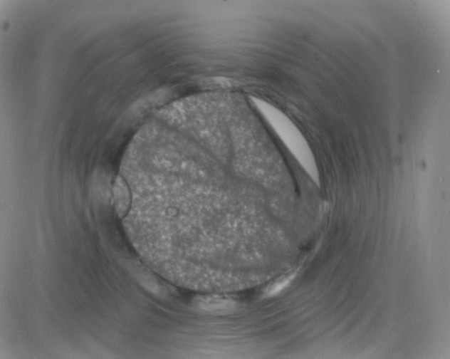 X0000082730331200702232353