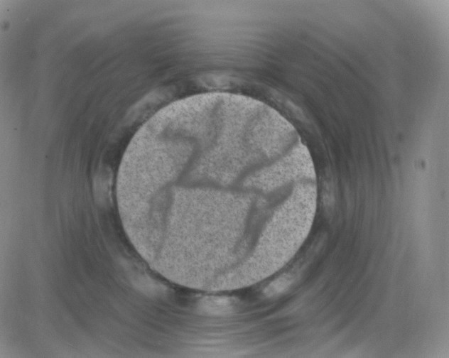 X0000082730332200702232353