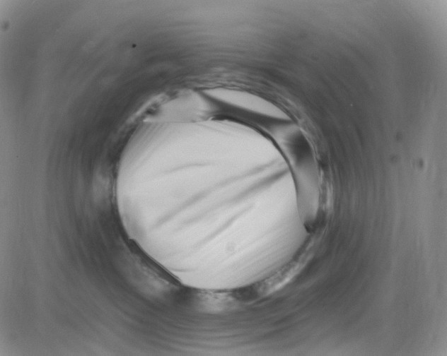 X0000082730333200702232353