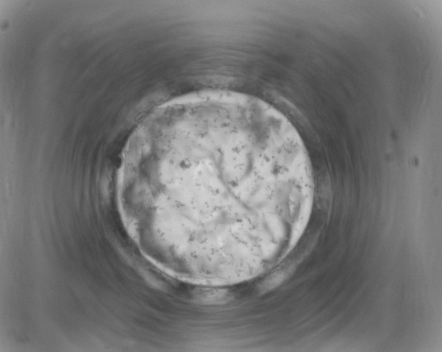 X0000082730334200702232353