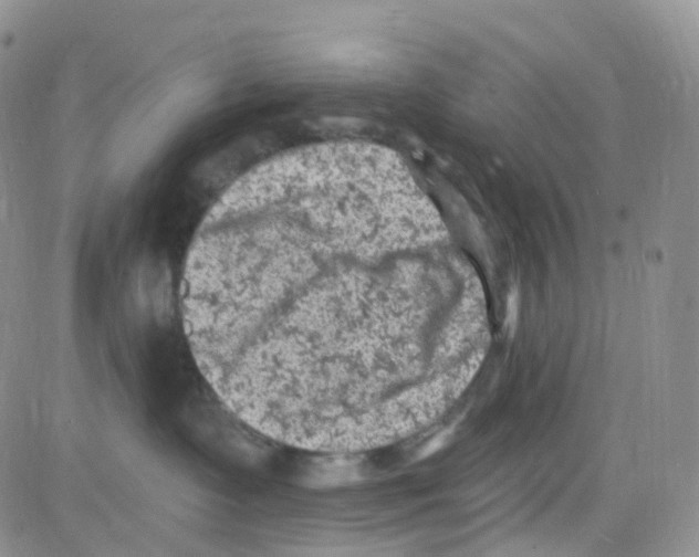 X0000082730335200702232353