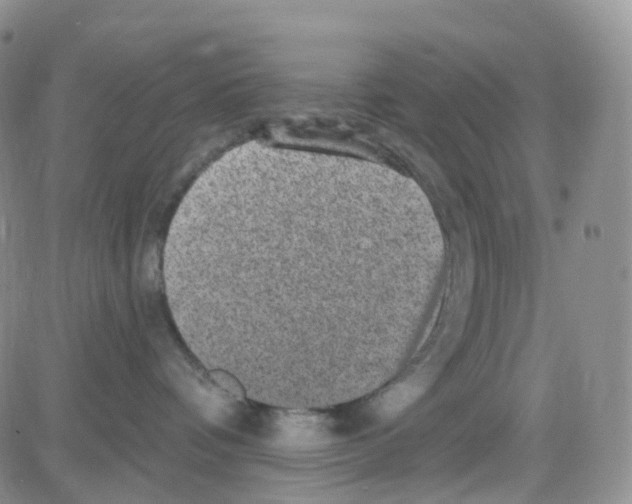 X0000082730336200702232353