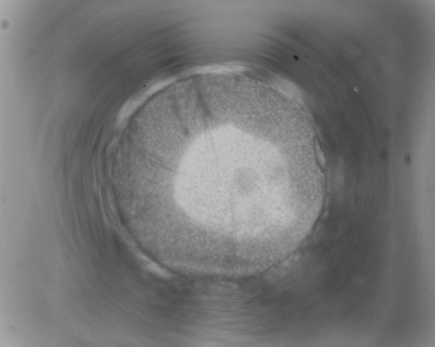 X0000082730337200702232352