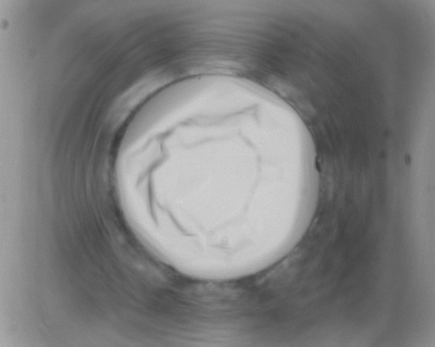 X0000082730338200702232352