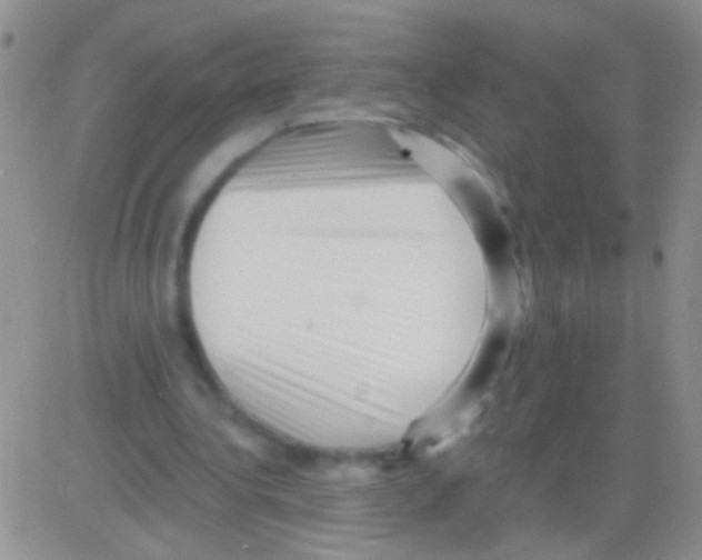 X0000082730340200702232353