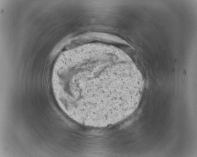 X0000082730341200702232353