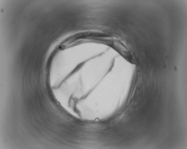 X0000082730342200702232353