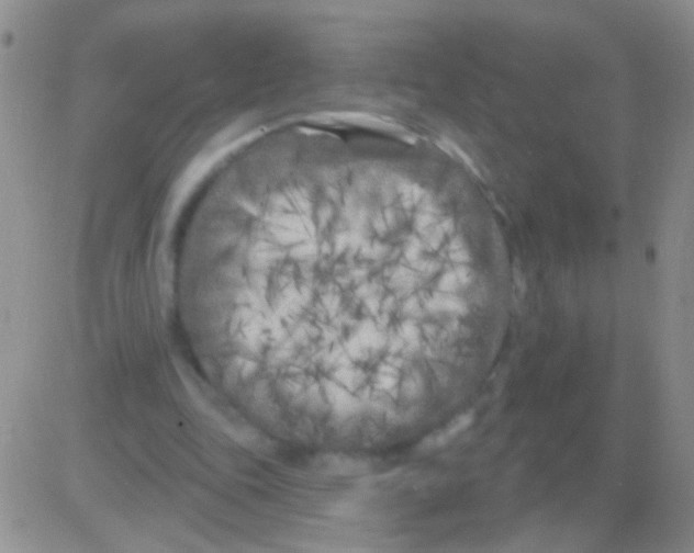 X0000082730343200702232353