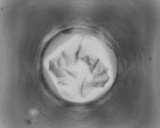 X0000082730344200702232353