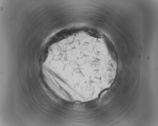 X0000082730345200702232353