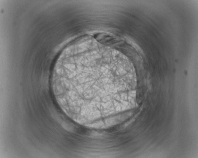 X0000082730346200702232353