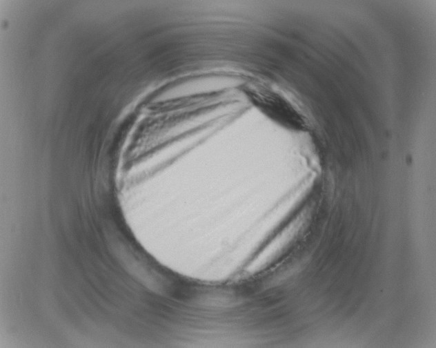 X0000082730347200702232353