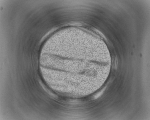 X0000082730349200702232353