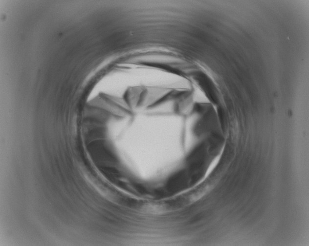 X0000082730350200702232353