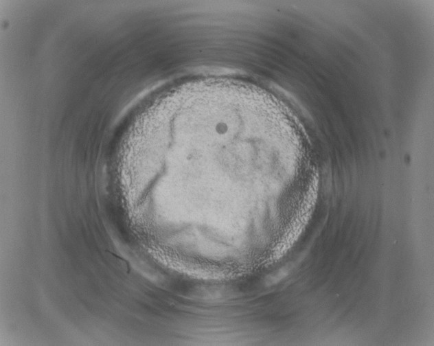 X0000082730351200702232353