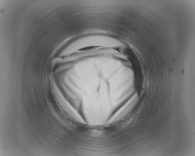 X0000082730352200702232353