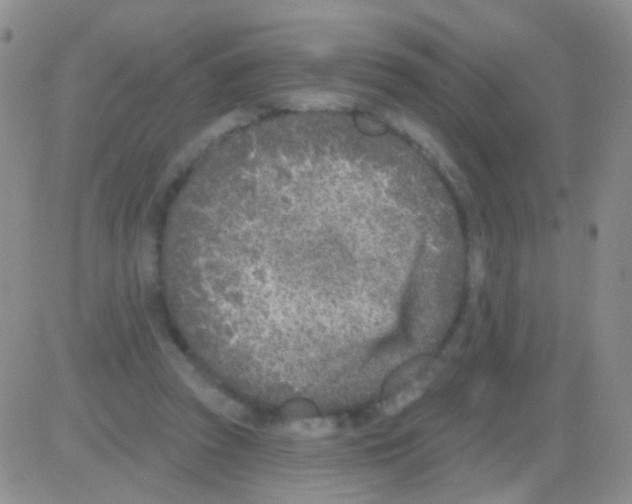 X0000082730353200702232353