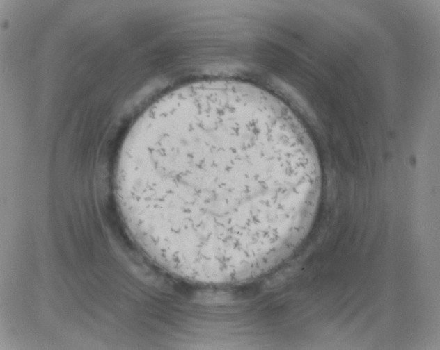 X0000082730354200702232353