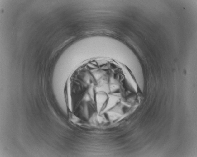 X0000082730356200702232353