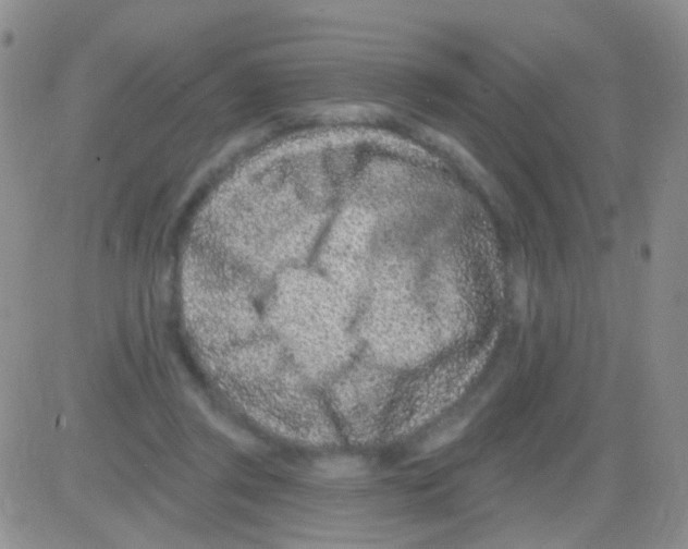 X0000082730357200702232353