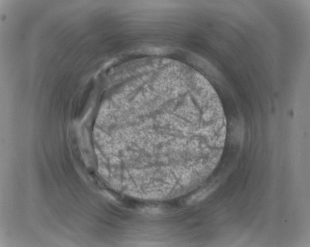 X0000082730358200702232353