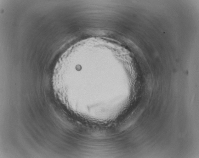 X0000082730359200702232353