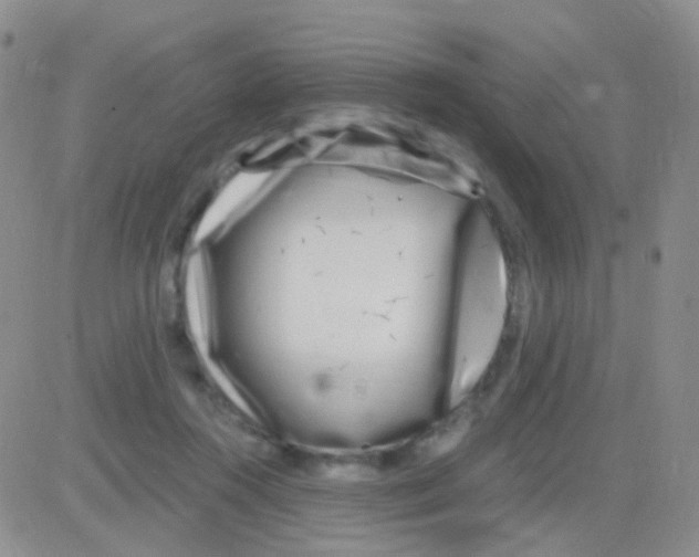 X0000082730360200702232353