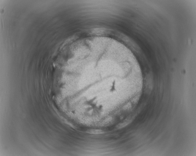 X0000082730361200702232353