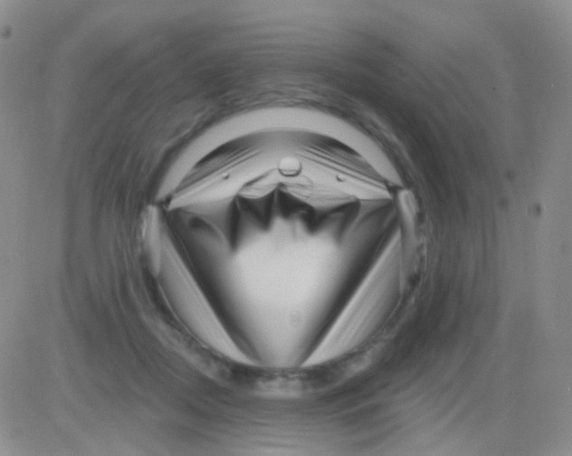 X0000082730362200702232353