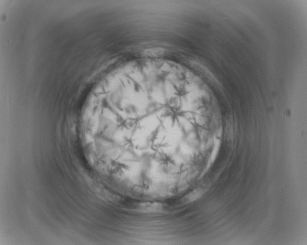 X0000082730363200702232353