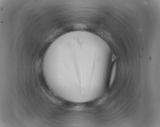 X0000082730364200702232353